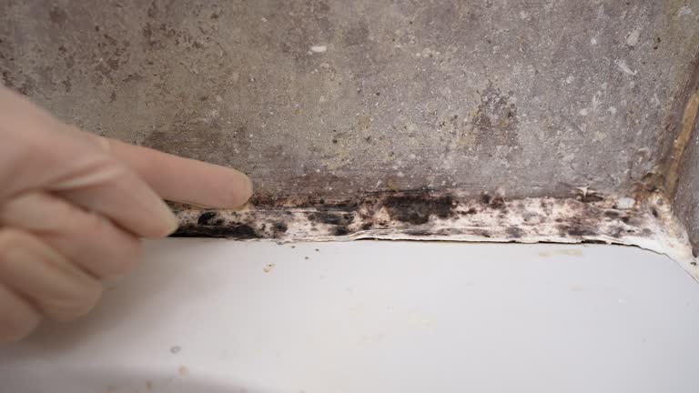 Best Post-Remediation Verification Testing  in Wade Hampton, SC